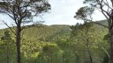 P1000065.JPG