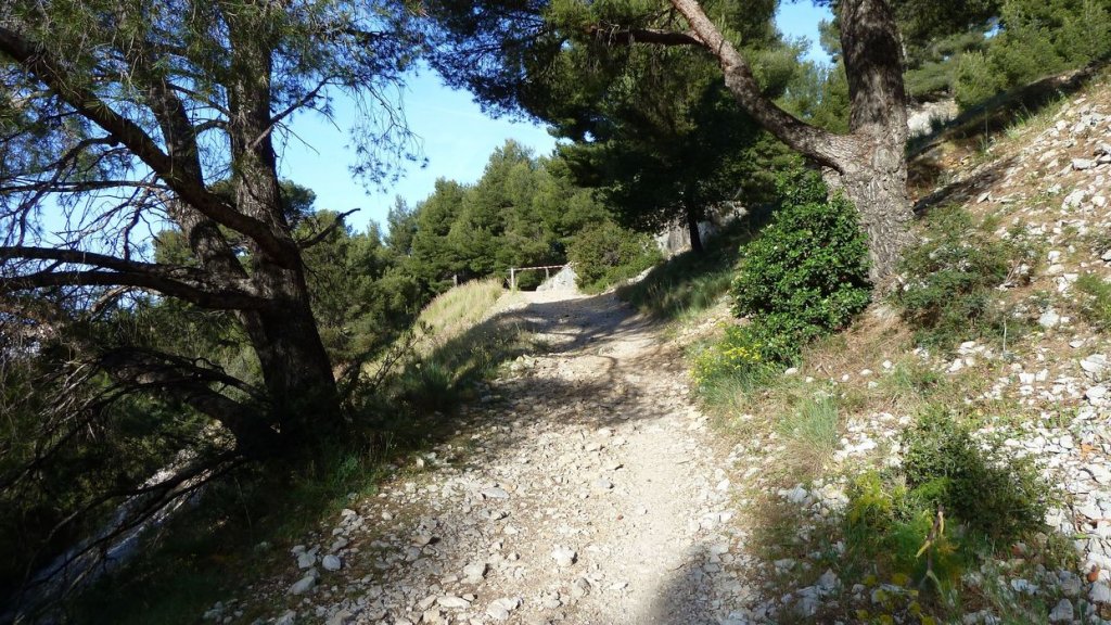 P1110277.JPG