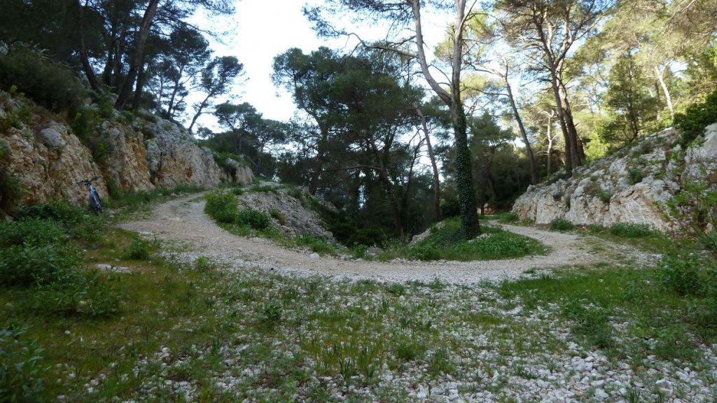 P1110288.JPG