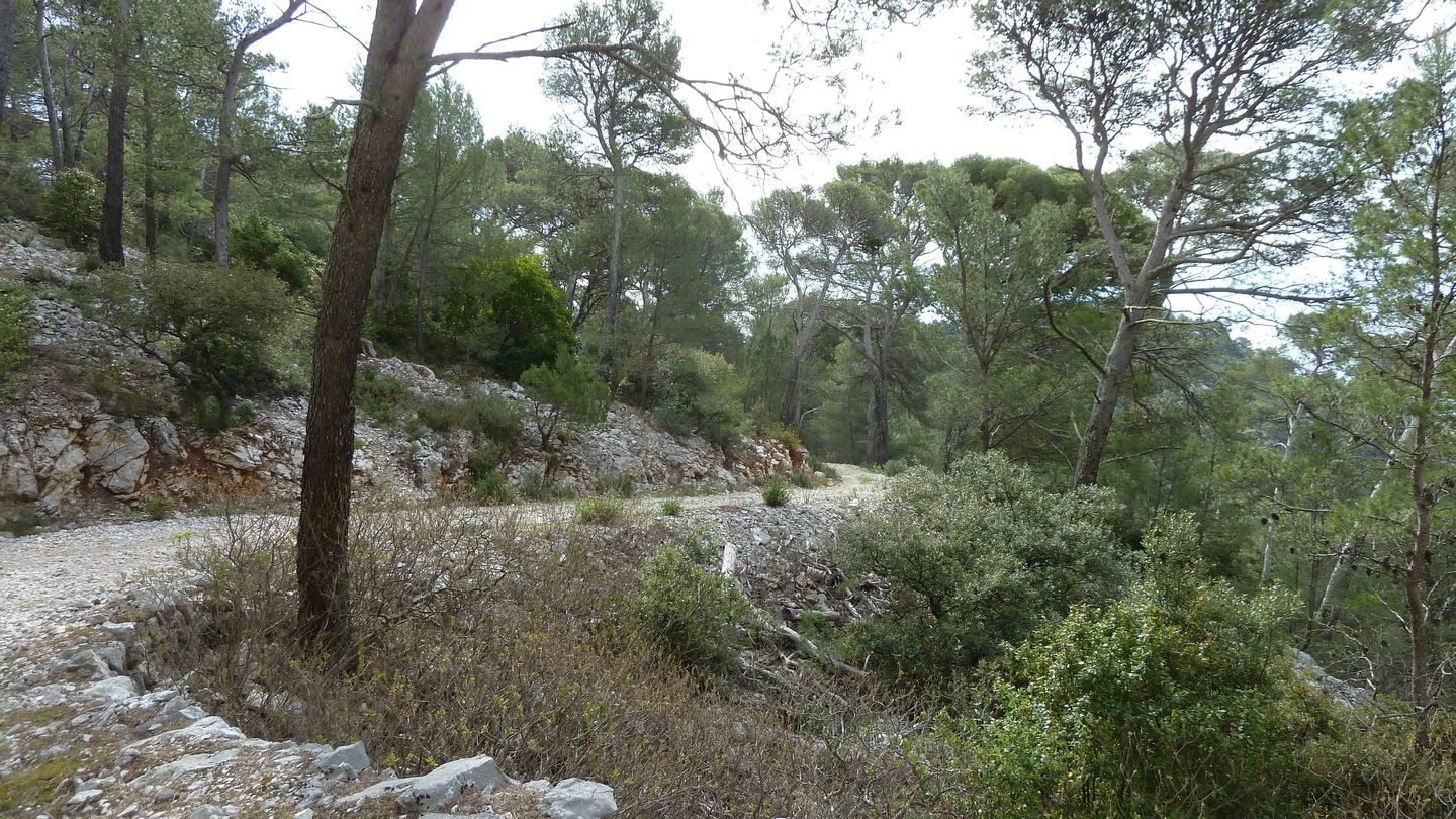 faron_complet_avril_2018_0111.JPG
