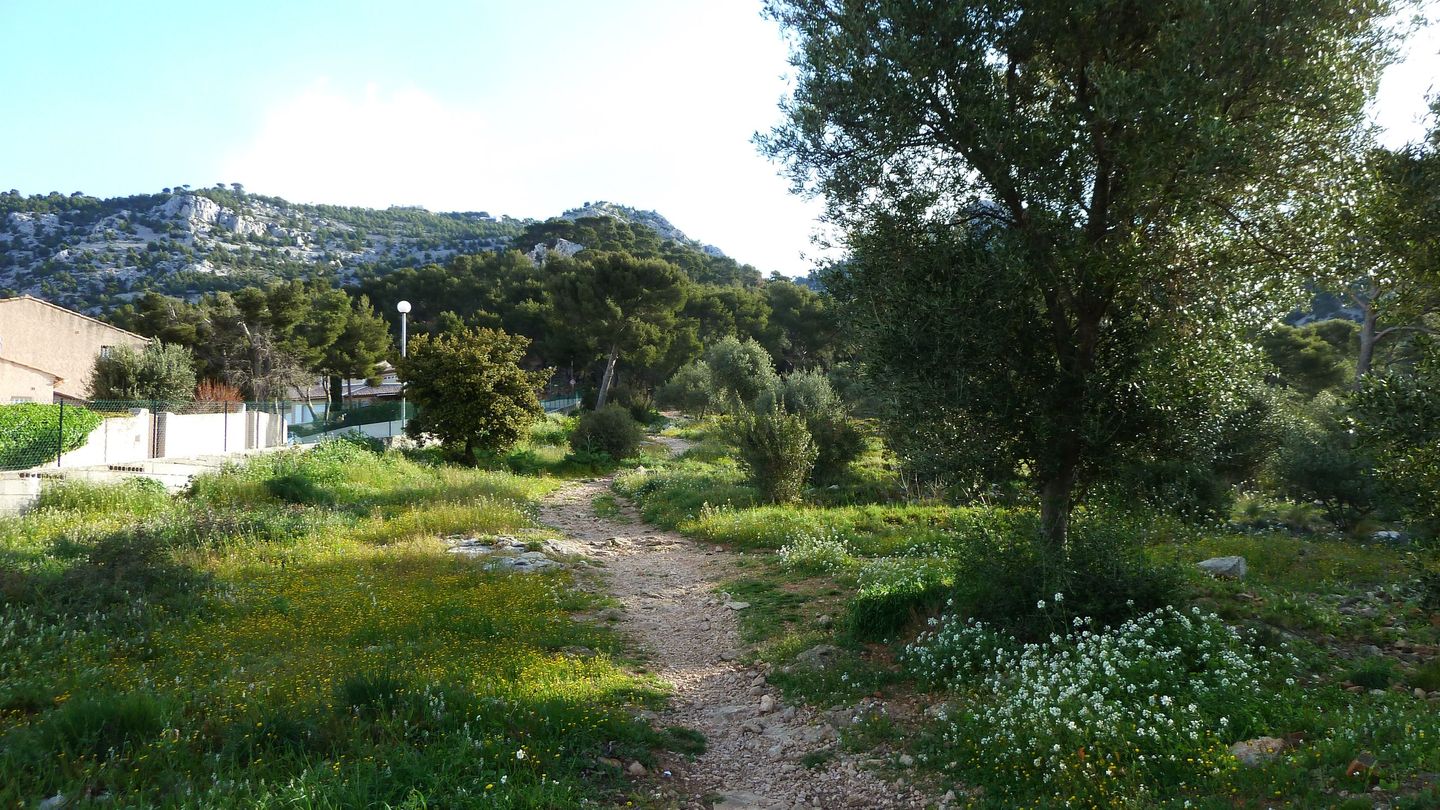 faron_complet_avril_2018_03.JPG