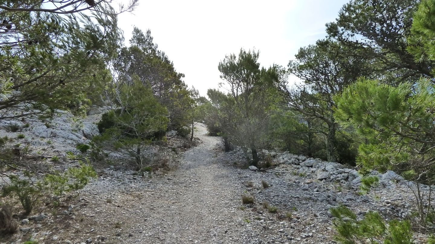 faron_complet_avril_2018_049.JPG