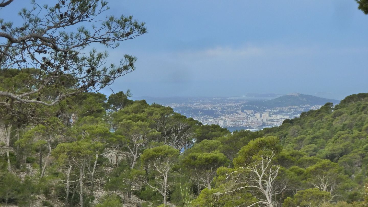 faron_complet_avril_2018_055.JPG
