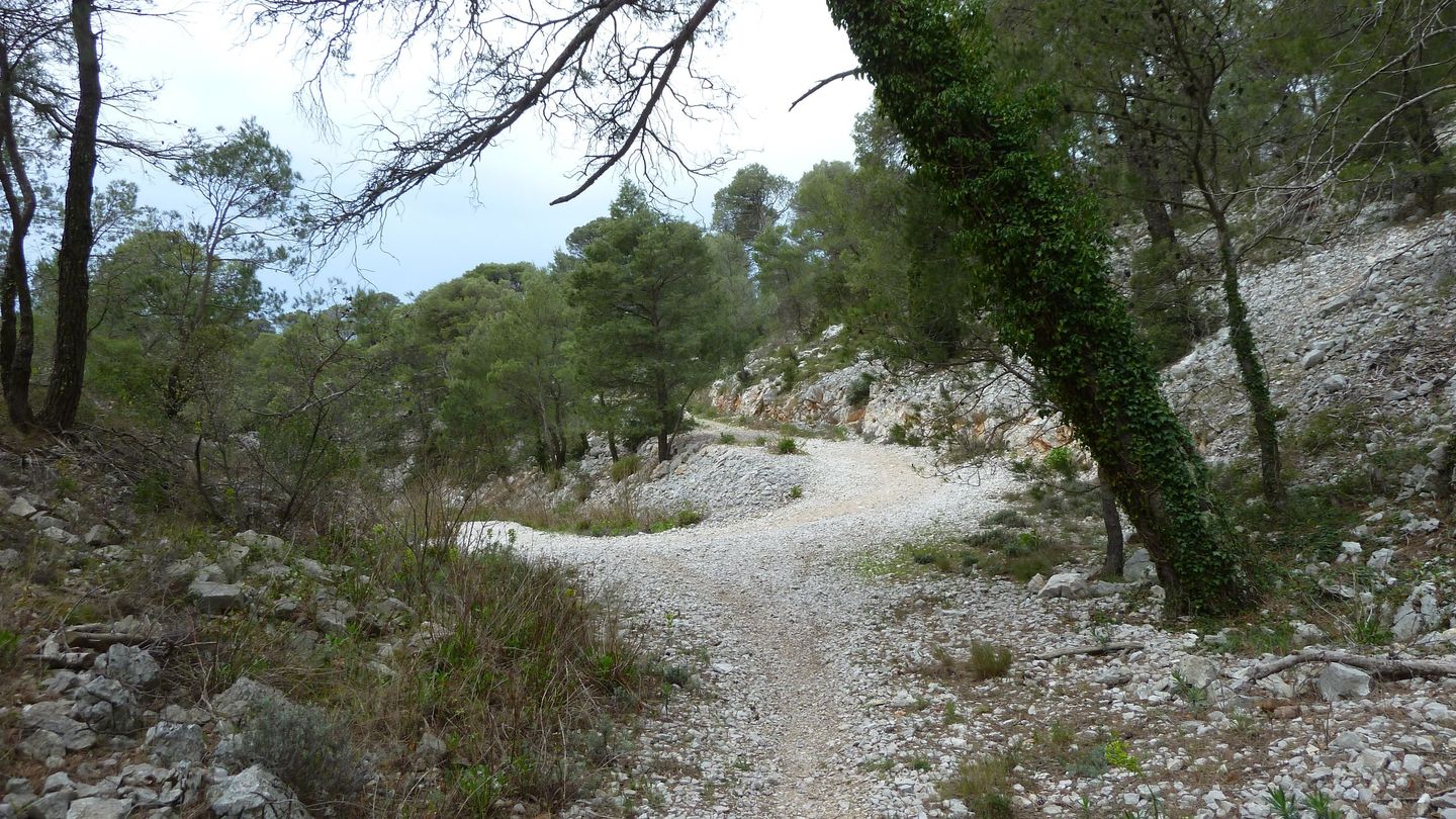 faron_complet_avril_2018_069.JPG