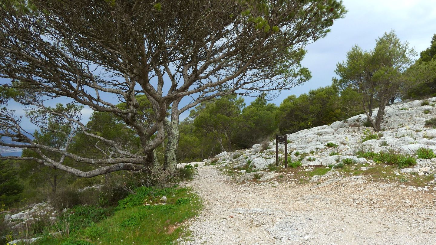 faron_complet_avril_2018_075.JPG