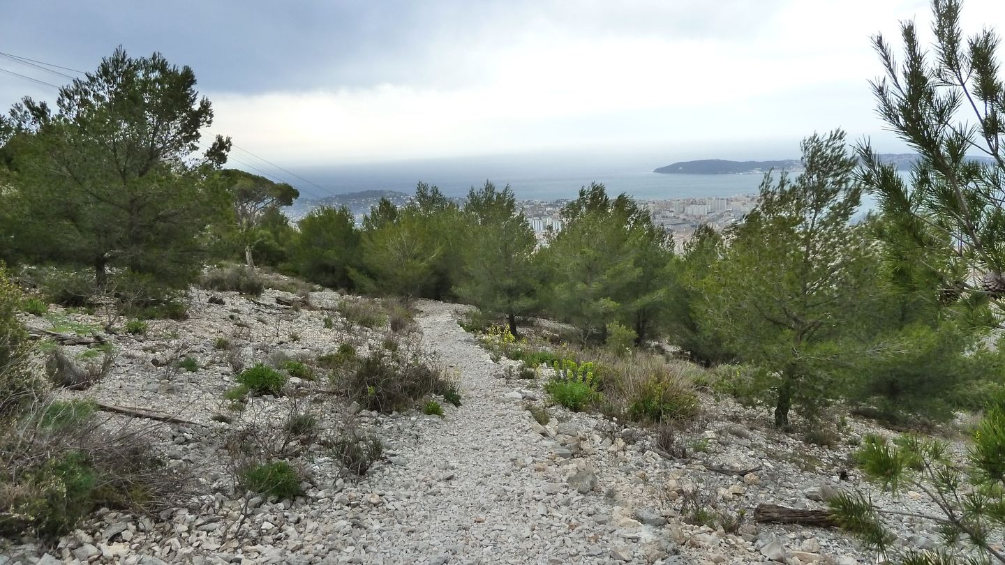 faron_complet_avril_2018_087.JPG