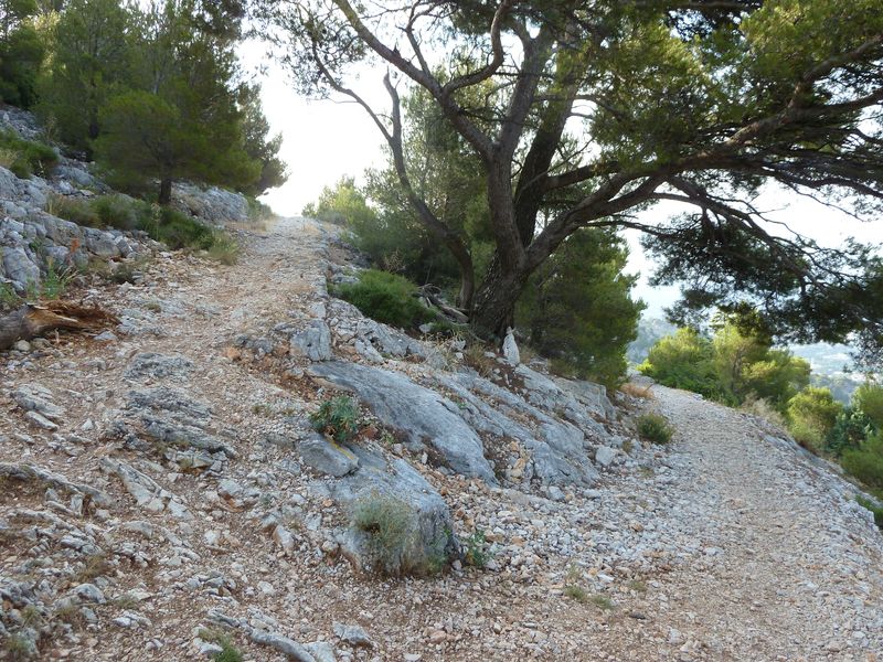 faron_juin_2011_005_1.jpg