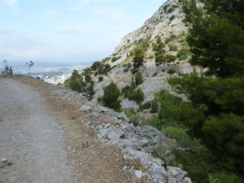 faron_juin_2011_008_1.jpg