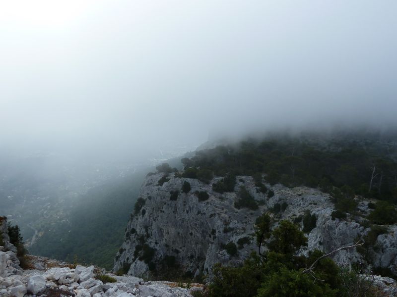 faron_juin_2011_013_1.jpg