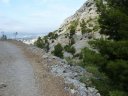 faron_juin_2011_008_1.jpg