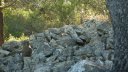 faron_juin_2011_017_1.jpg