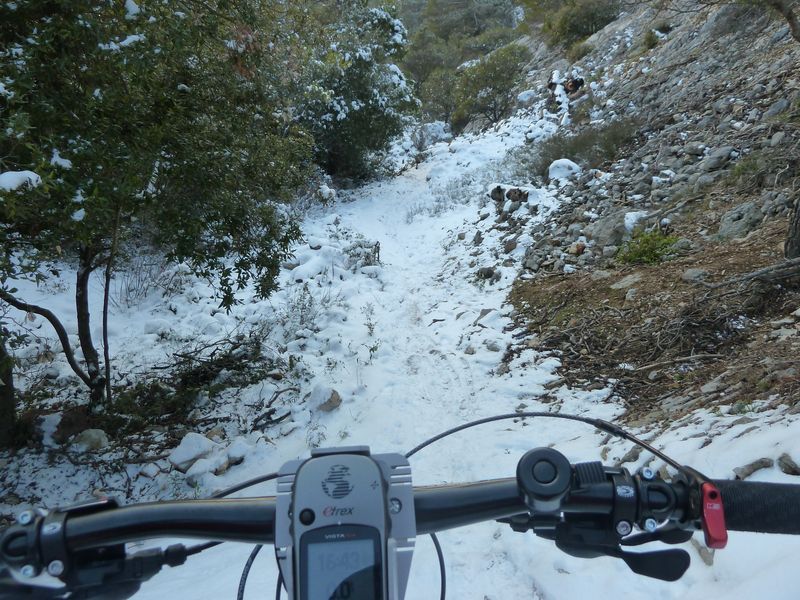 faron_fev_2012_024.jpg
