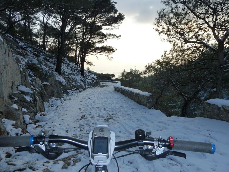 faron_fev_2012_028.jpg