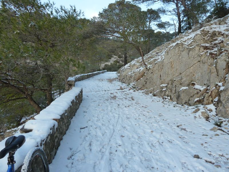 faron_fev_2012_032.jpg