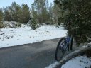 faron_fev_2012_004.jpg