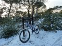 faron_fev_2012_012.jpg