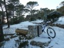 faron_fev_2012_018.jpg