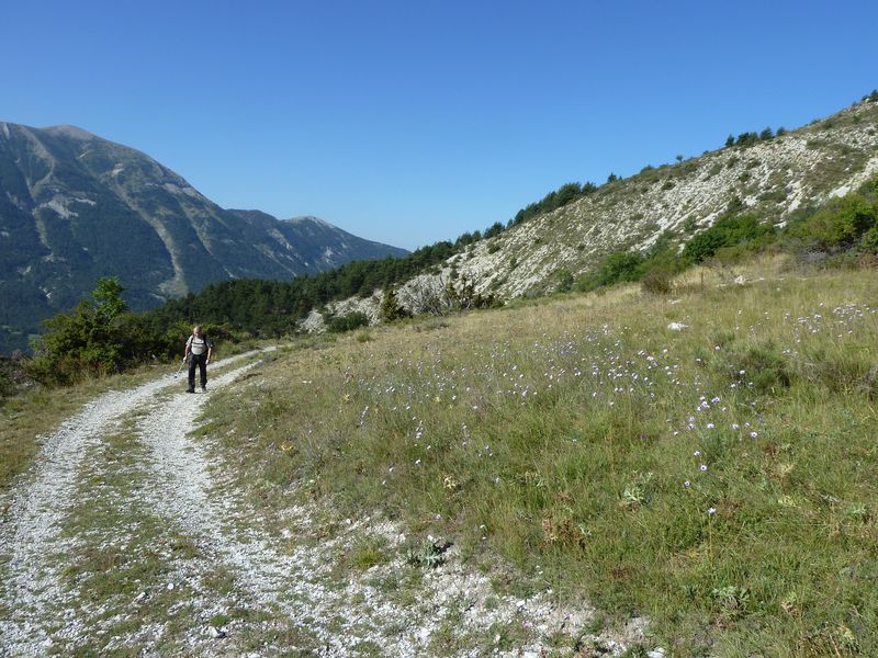 font_blanche_2011_059.jpg
