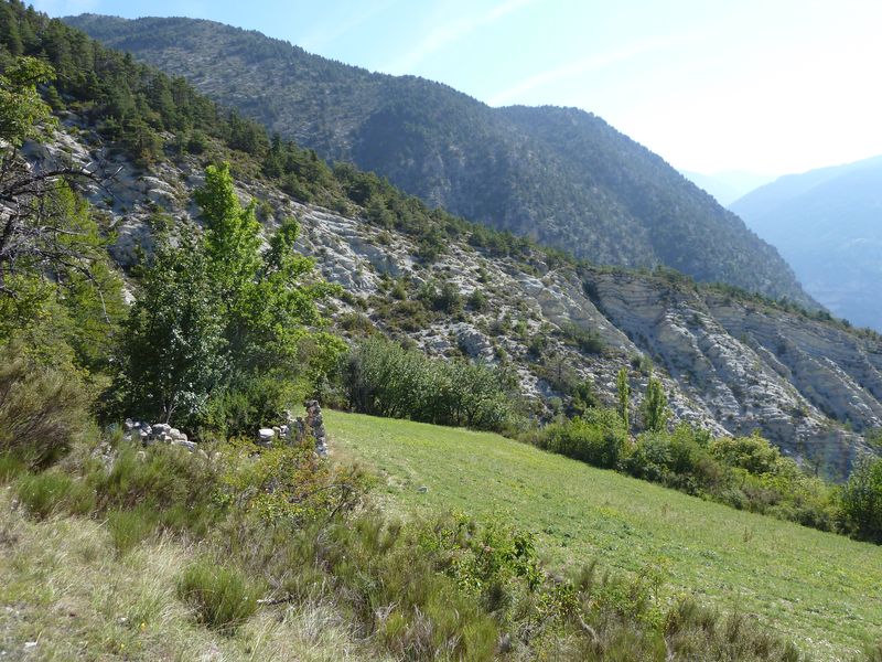 font_blanche_2011_079.jpg