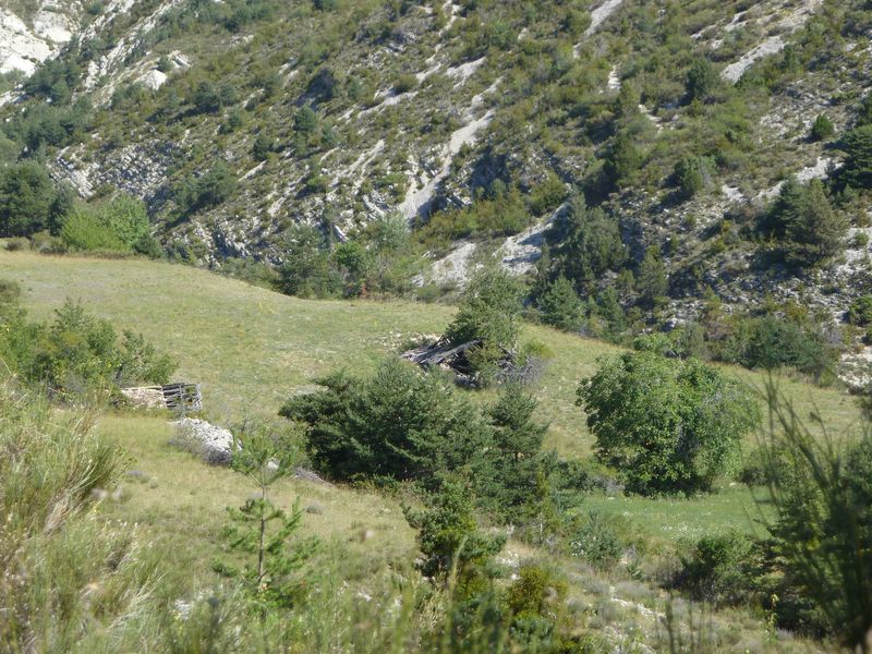 font_blanche_2011_101.jpg