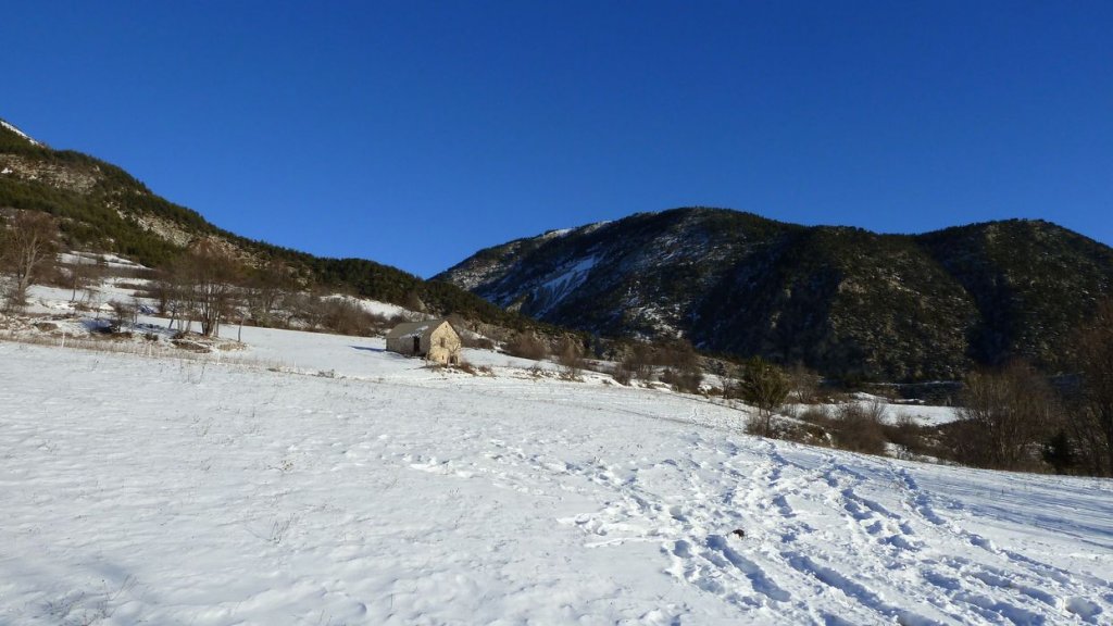 P1100861.JPG