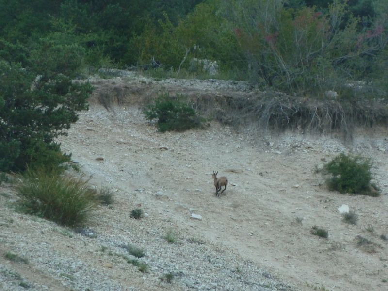 fontanil_2011_003.jpg
