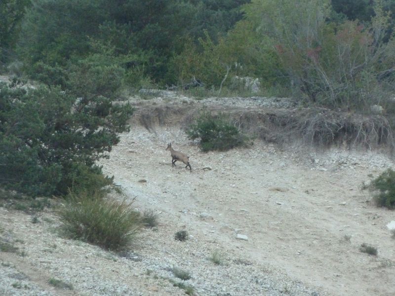 fontanil_2011_005.jpg