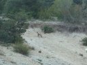 fontanil_2011_005.jpg