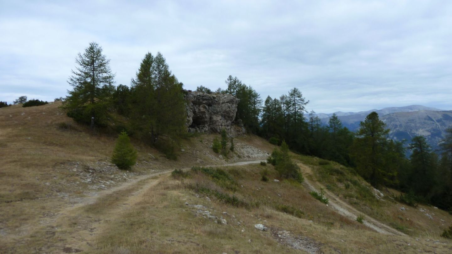 P1010989.JPG
