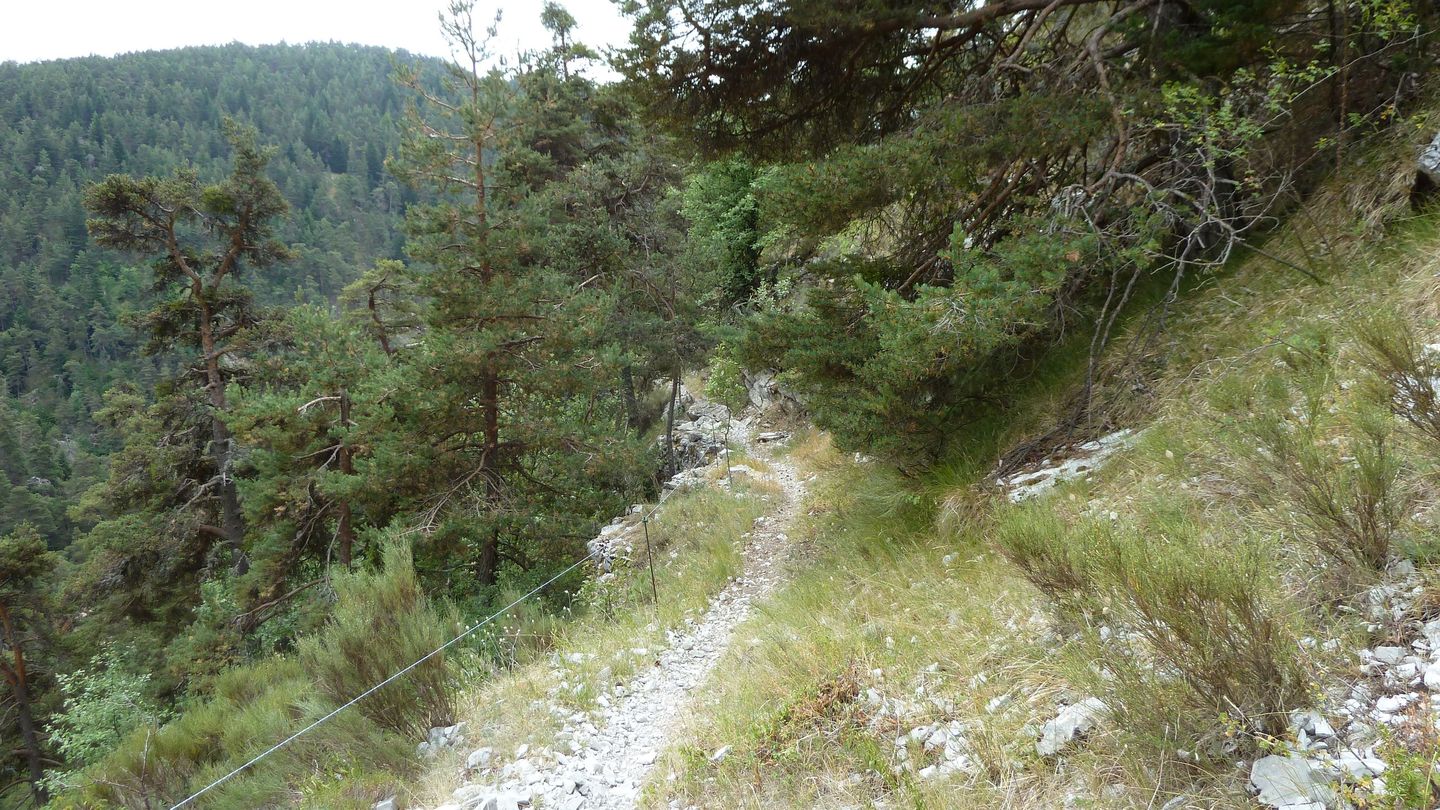 P1010999.JPG