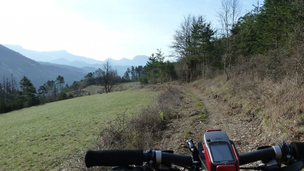 foret_dom_des_barres_avril_2013_042.jpg
