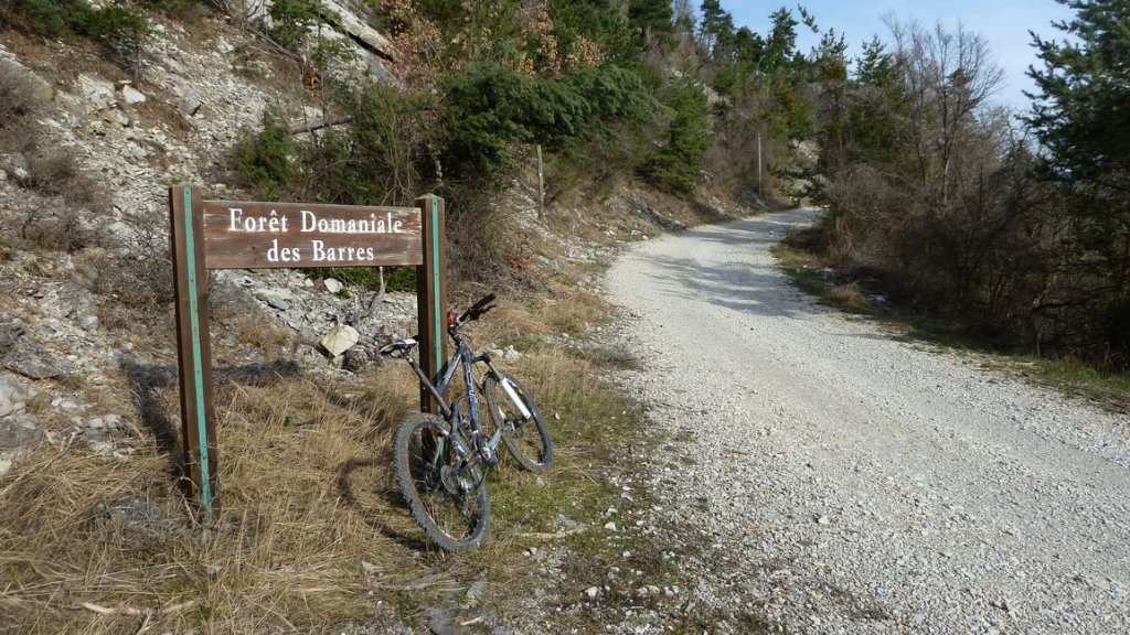 foret_dom_des_barres_avril_2013_050.jpg