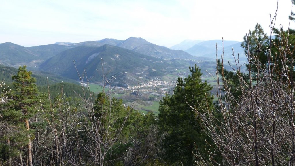foret_dom_des_barres_avril_2013_054.jpg