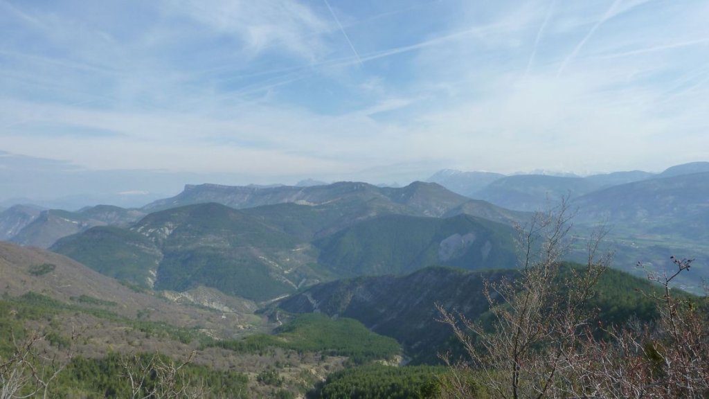 foret_dom_des_barres_avril_2013_066.jpg
