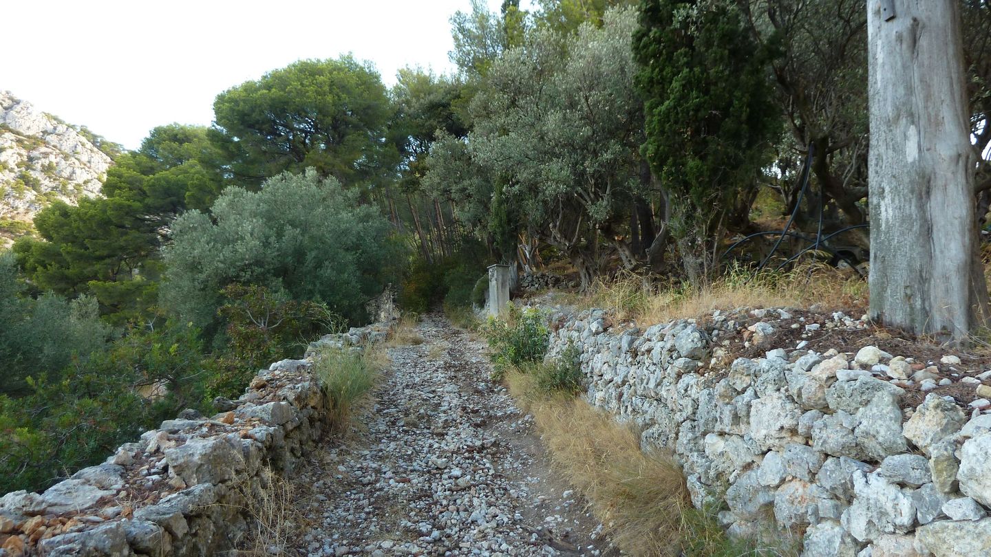 mont_faron_sept_2017_06.JPG