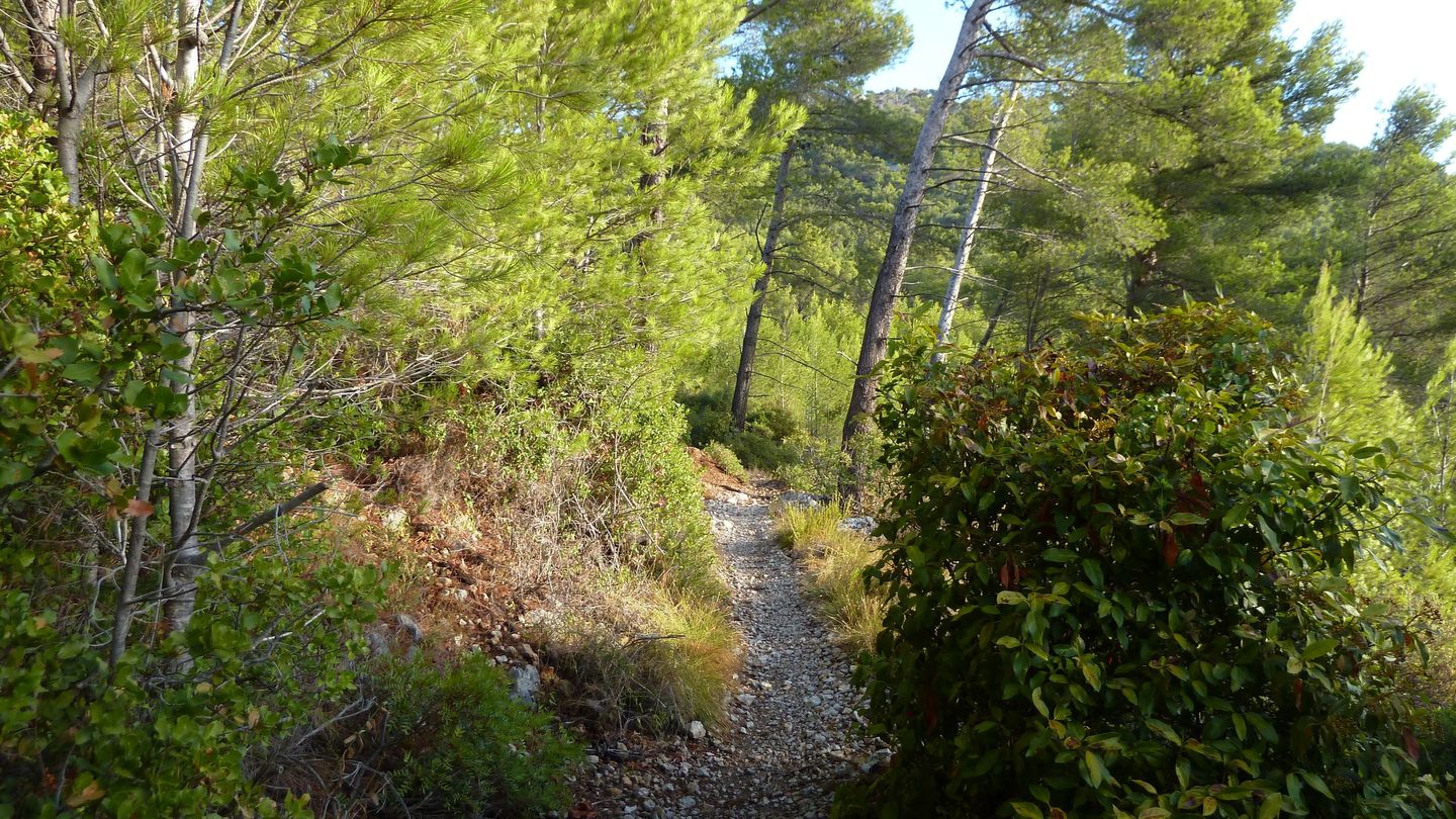 mont_faron_sept_2017_14.JPG