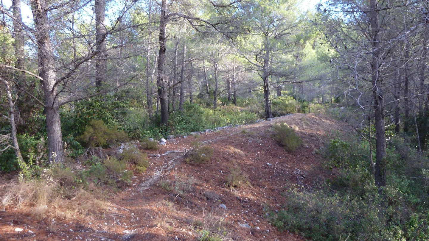 mont_faron_sept_2017_20.JPG