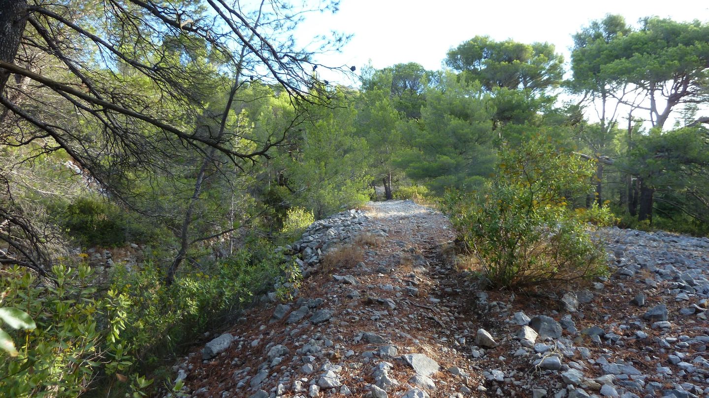 mont_faron_sept_2017_21.JPG