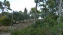 mont_faron_sept_2017_03.JPG