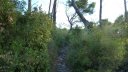 mont_faron_sept_2017_07.JPG