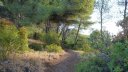 mont_faron_sept_2017_09.JPG