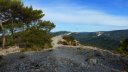mont_faron_sept_2017_38.JPG