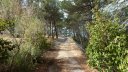 mont_faron_sept_2017_46.JPG