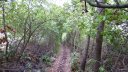 mont_faron_sept_2017_50.JPG