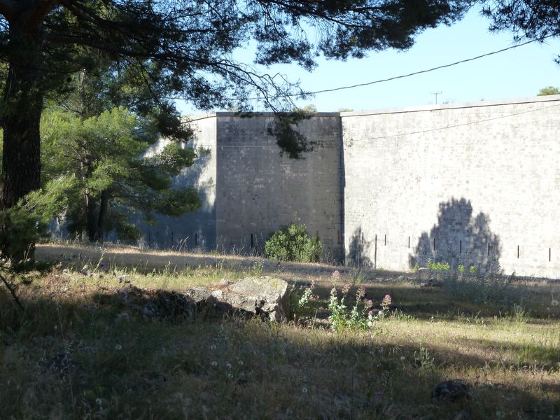 forts_faron_2011_05_1.jpg