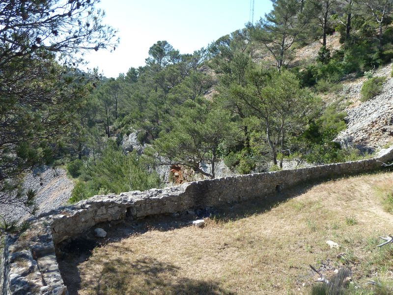 forts_faron_2011_21_1.jpg
