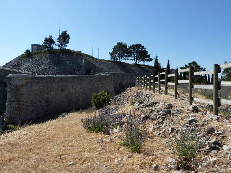 forts_faron_2011_29_1.jpg