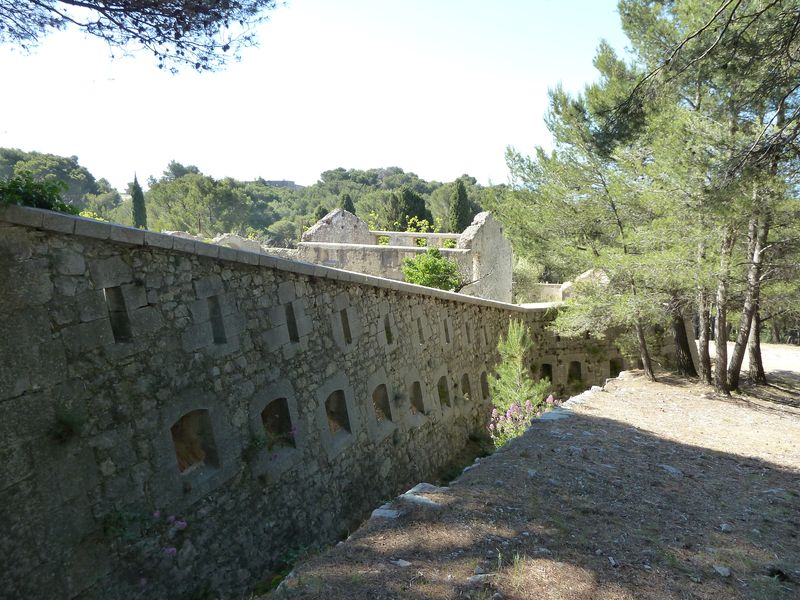 forts_faron_2011_44_1.jpg