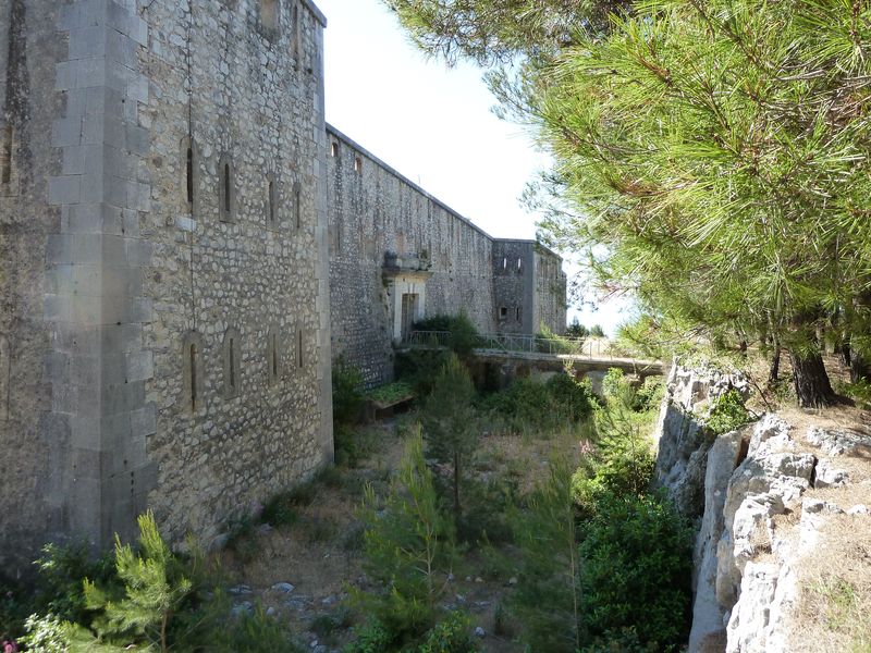 forts_faron_2011_47_1.jpg