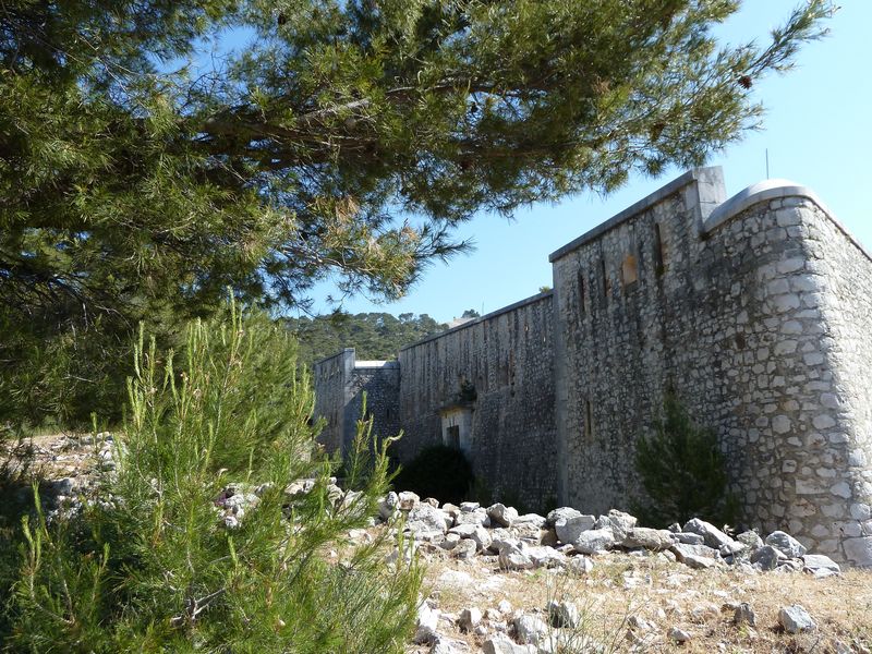 forts_faron_2011_57_1.jpg